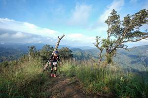 BIB: 
                            <button type="button" onclick="openModal(22437460)" class="btn btn-primary btn-sm float-right btn-popup" data-toggle="modal" data-target=".modal-high-quality">
                        <i class="fas fa-shopping-cart"></i> Add to Cart
                    </button>
                                            <button type="button" onclick="isThisMe(22437460, true)" class="btn btn-success btn-sm float-right btn-popup btn-isme hidden" data-toggle="tooltip" data-placement="bottom" title="นี่คือรูปของคุณใช่ไหม คลิกที่นี่เพื่อเอาเข้าอัลบั้ม">
                        <i class="fas fa-plus"></i> Add to album
                    </button>
                    <button type="button" onclick="isThisMe(22437460, false)" class="btn btn-warning btn-sm float-right btn-popup btn-isnotme hidden">
                        <i class="fas fa-ban"></i> Remove from album
                    </button>